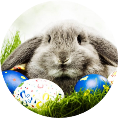 Vesela mugura - vieglums katrā kustībā!